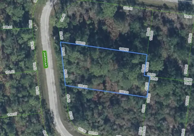 Photo 3 of Land for sale at 8114 Zamora Ave, Sebring, FL 33872 | MLS# O6441833 | Listing updated on 2026-09-15