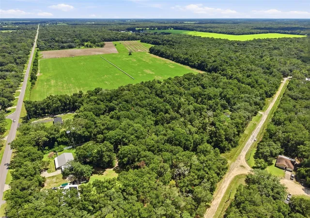 Photo 4 of Land for sale at Lot NW 12 164th Street, Fanning Springs, FL 32693 | MLS# GC543522 | Listing updated on 2026-10-05