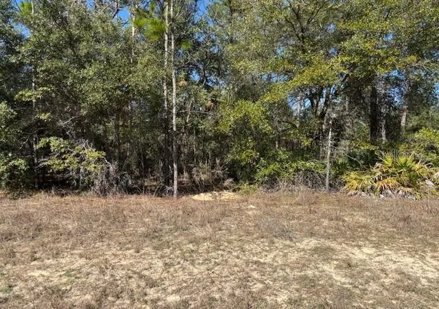 Land for sale at 497 W Hummingbird Dr, Citrus Springs, FL 34434 | MLS# CC841965