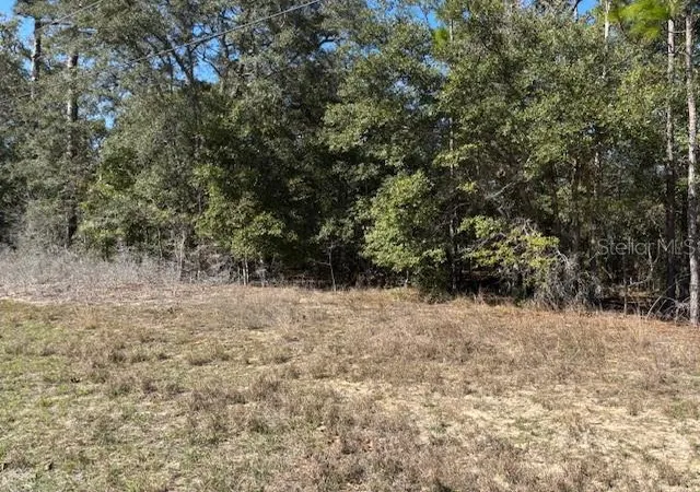 Photo 1 of Land for sale at 497 W Hummingbird Dr, Citrus Springs, FL 34434 | MLS# CC841965 | Listing updated on 2026-10-08