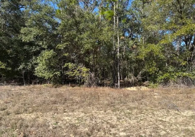 Photo 2 of Land for sale at 497 W Hummingbird Dr, Citrus Springs, FL 34434 | MLS# CC841965 | Listing updated on 2026-10-08