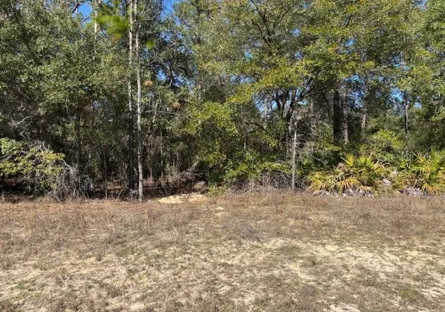 Photo 3 of Land for sale at 497 W Hummingbird Dr, Citrus Springs, FL 34434 | MLS# CC841965 | Listing updated on 2026-10-08