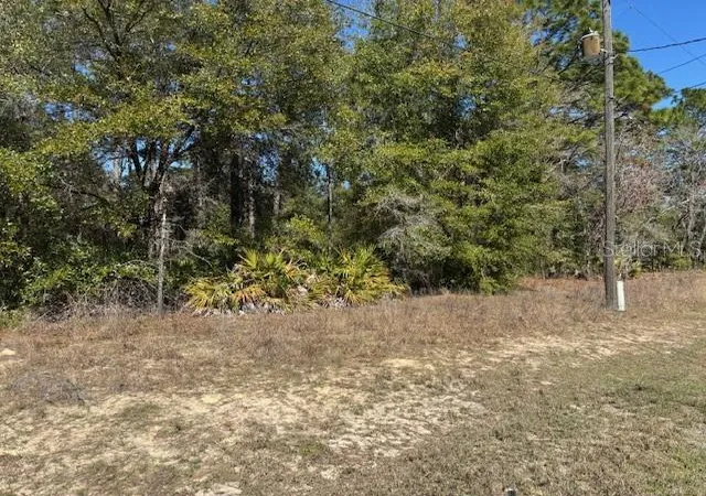 Photo 4 of Land for sale at 497 W Hummingbird Dr, Citrus Springs, FL 34434 | MLS# CC841965 | Listing updated on 2026-10-08