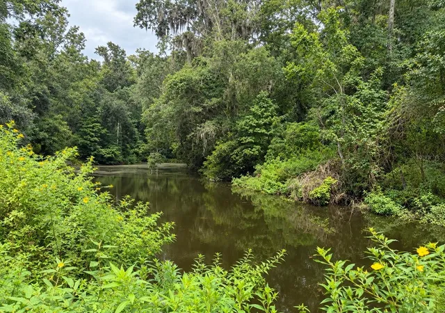 Photo 4 of Single family home for sale at 26307 Mountain Lake Rd, Brooksville, FL 34602 | MLS# TB8548729 | Listing updated on 2026-10-03