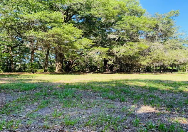 Land for sale at 17401 NW County Rd 241, ALACHUA, FL 32615 | MLS# GC543524