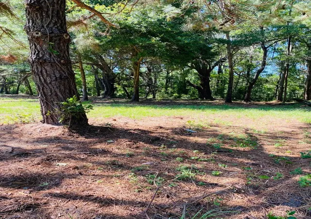 Photo 1 of Land for sale at 17401 NW County Rd 241, Alachua, FL 32615 | MLS# GC543524 | Listing updated on 2026-09-29