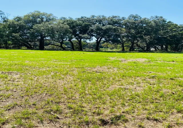 Photo 2 of Land for sale at 17401 NW County Rd 241, Alachua, FL 32615 | MLS# GC543524 | Listing updated on 2026-09-29