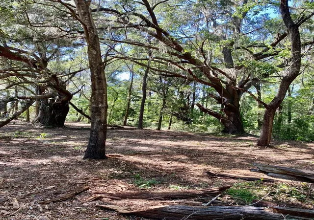 Photo 3 of Land for sale at 17401 NW County Rd 241, Alachua, FL 32615 | MLS# GC543524 | Listing updated on 2026-09-29