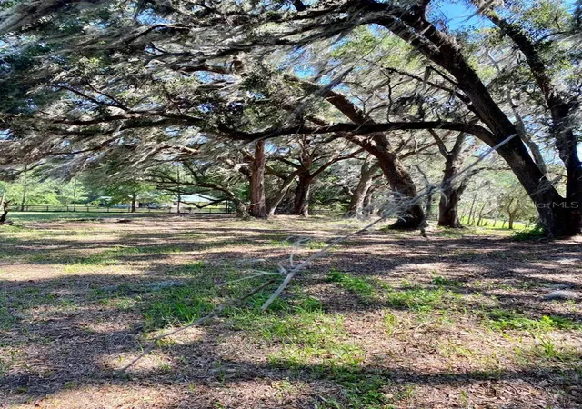 Photo 4 of Land for sale at 17401 NW County Rd 241, Alachua, FL 32615 | MLS# GC543524 | Listing updated on 2026-09-29