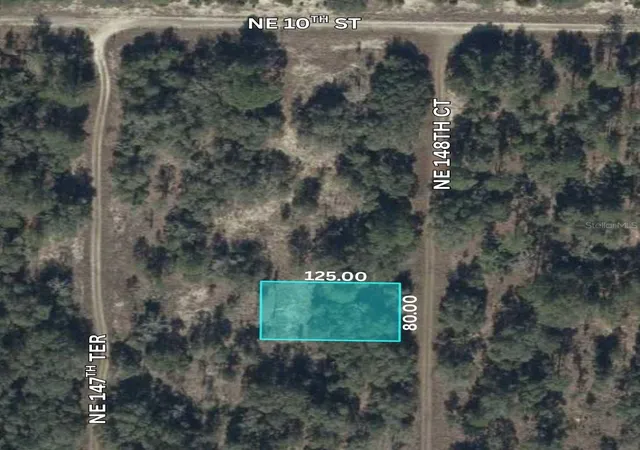 Land for sale at NE 148th Court, WILLISTON, FL 32696 | MLS# TB8548833