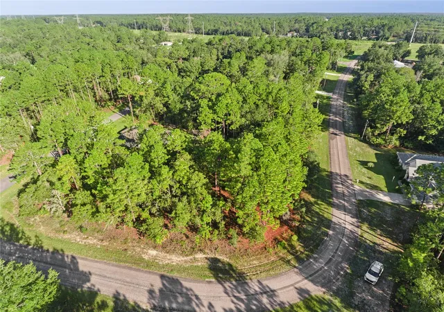 Photo 2 of Land for sale at 6698 N Foxdale Dr, Citrus Springs, FL 34434 | MLS# S5157633 | Listing updated on 2026-09-16