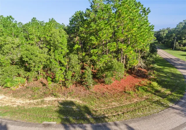 Photo 3 of Land for sale at 6698 N Foxdale Dr, Citrus Springs, FL 34434 | MLS# S5157633 | Listing updated on 2026-09-16
