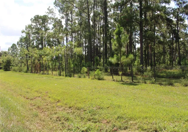 Photo 3 of Land for sale at US Hwy 98 W, Frostproof, FL 33843 | MLS# TB8548917 | Listing updated on 2026-09-24