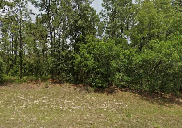 Photo 2 of Land for sale at 6264 Sw 136th Place, Ocala, FL 34473 | MLS# O6442077 | Listing updated on 2026-10-03