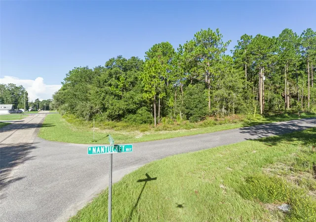 Photo 2 of Land for sale at 6670 N Nantucket Way, Dunnellon, FL 34434 | MLS# S5157643 | Listing updated on 2026-09-16