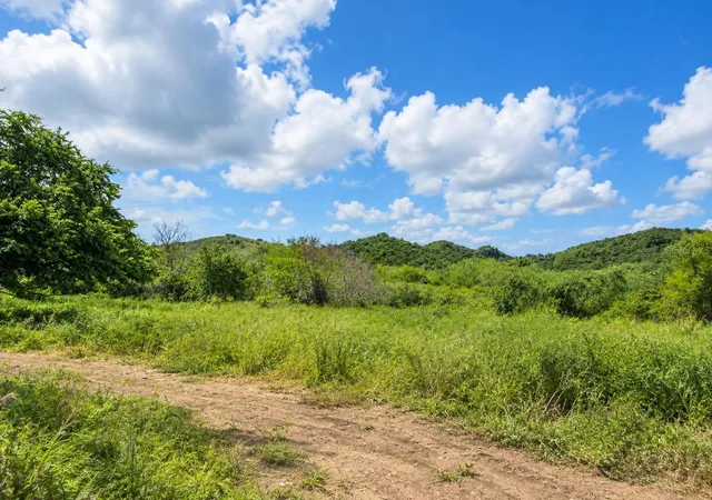 Photo 2 of Land for sale at Prairie 77711, Guayama, PR 00784 | MLS# PR9124203 | Listing updated on 2026-10-28