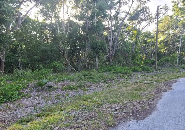 Photo 2 of Land for sale at 9840 N Snowball Point, Crystal River, FL 34428 | MLS# OM732331 | Listing updated on 2026-10-06