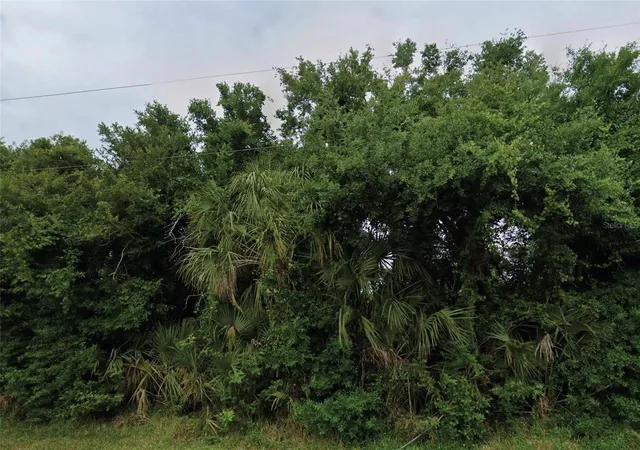 Land for sale at 6335 Pennell St, ENGLEWOOD, FL 34224 | MLS# O6442161