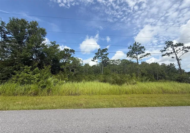 Photo 3 of Land for sale at Topeka Ave, Saint Cloud, FL 34773 | MLS# S5157661 | Listing updated on 2026-09-16