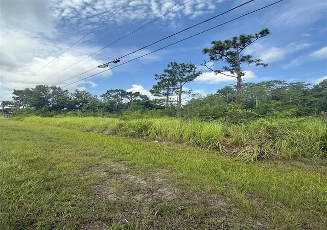 Photo 4 of Land for sale at Topeka Ave, Saint Cloud, FL 34773 | MLS# S5157661 | Listing updated on 2026-09-16