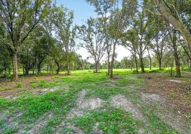 Photo 3 of Land for sale at 4415 Verna Bethany Rd, Myakka City, FL 34251 | MLS# A4706252 | Listing updated on 2026-09-17