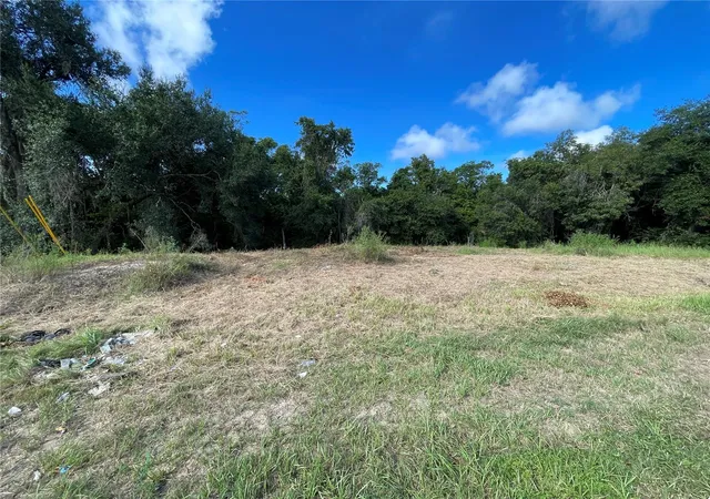 Land for sale at 2427 Pecos Ln, Kissimmee, FL 34759 | MLS# O6442277
