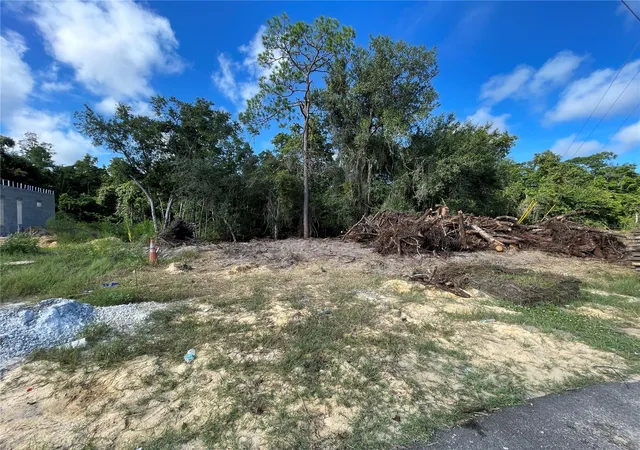 Photo 3 of Land for sale at 2427 Pecos Ln, Kissimmee, FL 34759 | MLS# O6442277 | Listing updated on 2026-09-17