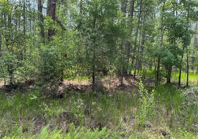 Land for sale at SW 143 Place, OCALA, FL 34473 | MLS# O6442318