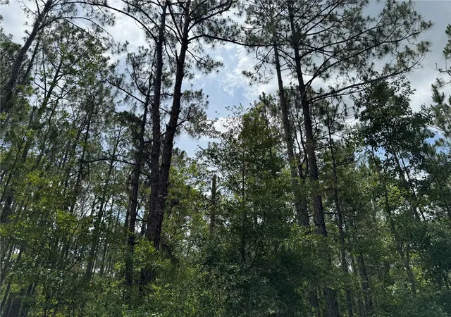 Photo 2 of Land for sale at SW 143 Place, Ocala, FL 34473 | MLS# O6442318 | Listing updated on 2026-09-23
