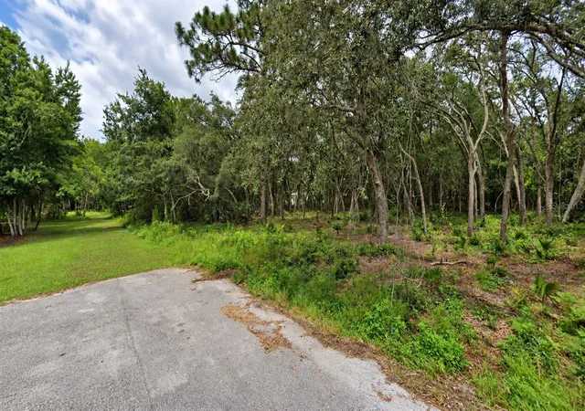 Photo 1 of Land for sale at 0 Orland St, New Port Richey, FL 34654 | MLS# W7889575 | Listing updated on 2026-09-21