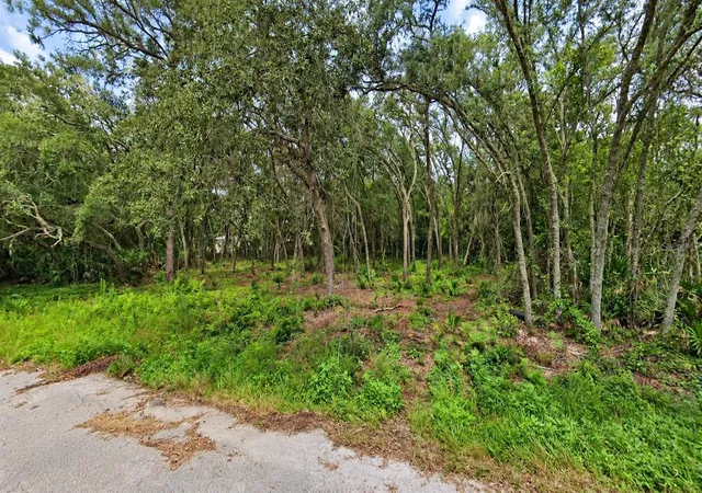 Photo 2 of Land for sale at 0 Orland St, New Port Richey, FL 34654 | MLS# W7889575 | Listing updated on 2026-09-21
