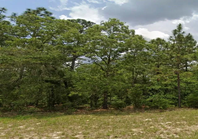 Photo 2 of Land for sale at 63rd Avenue, Ocala, FL 34473 | MLS# O6442437 | Listing updated on 2026-10-03
