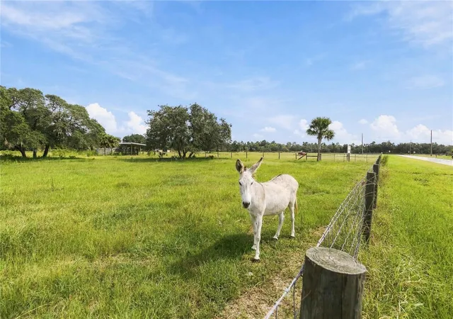 Photo 2 of Land for sale at Ranch Rd, Astatula, FL 34705 | MLS# O6442478 | Listing updated on 2026-09-24