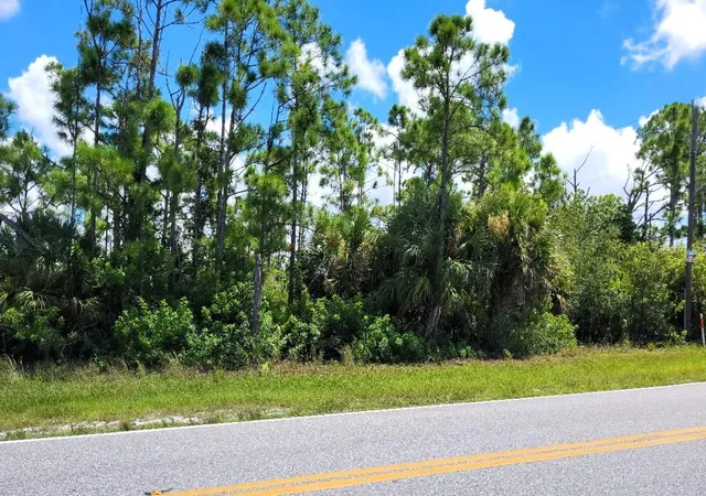 Photo 2 of Land for sale at 9500 Hallendale Dr, Port Charlotte, FL 33981 | MLS# D6148800 | Listing updated on 2026-10-01