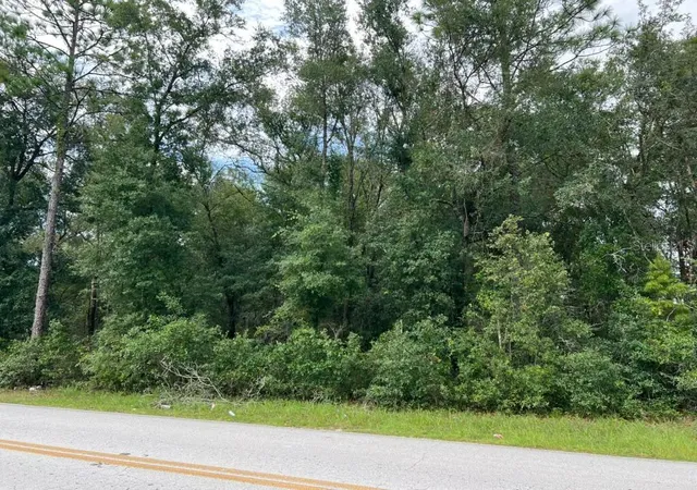 Land for sale at 0 SE 132nd Pl Ocklawaha, OCKLAWAHA, FL 32179 | MLS# O6442569