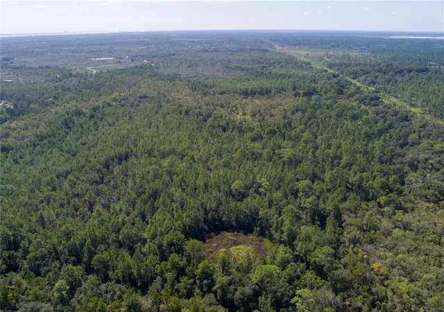 Photo 4 of Land for sale at N/A, Mims, FL 32754 | MLS# O6442646 | Listing updated on 2026-09-18