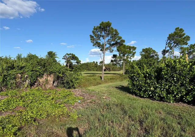 Photo 2 of Land for sale at 81 Pine Valley Ct, Rotonda West, FL 33947 | MLS# D6148811 | Listing updated on 2026-09-18
