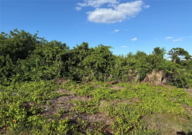 Photo 4 of Land for sale at 81 Pine Valley Ct, Rotonda West, FL 33947 | MLS# D6148811 | Listing updated on 2026-09-18