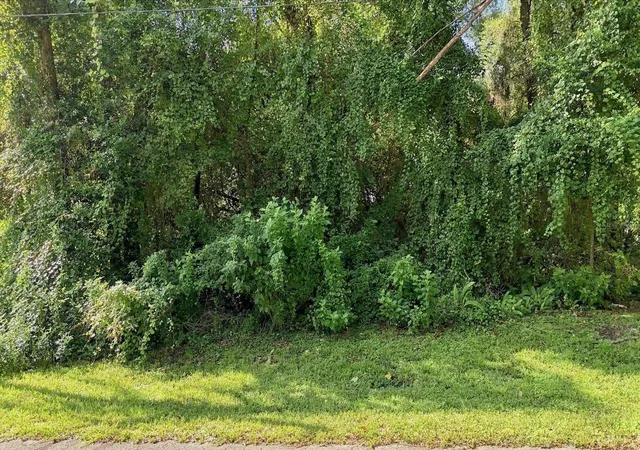 Photo 3 of Land for sale at 6136 E Rector St, Inverness, FL 34452 | MLS# TB8549516 | Listing updated on 2026-09-19