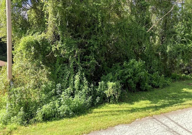 Photo 4 of Land for sale at 6136 E Rector St, Inverness, FL 34452 | MLS# TB8549516 | Listing updated on 2026-09-19