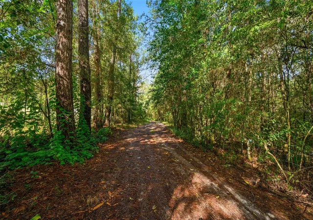 Photo 3 of Land for sale at 3426 Se 185th Avenue, Micanopy, FL 32667 | MLS# GC543585 | Listing updated on 2026-09-22