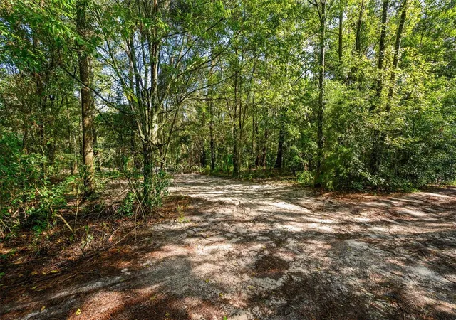 Photo 3 of Land for sale at 3426 SE 185th Avenue, Micanopy, FL 32667 | MLS# GC543585 | Listing updated on 2026-09-22