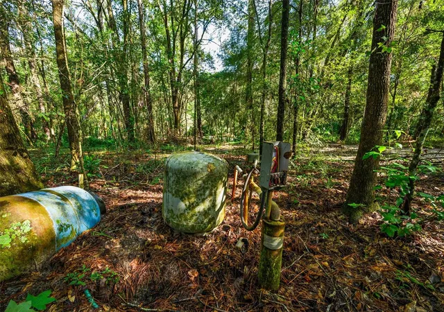 Photo 4 of Land for sale at 3426 SE 185th Avenue, Micanopy, FL 32667 | MLS# GC543585 | Listing updated on 2026-09-22