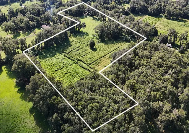 Land for sale at 3475 NW 157th Place, REDDICK, FL 32686 | MLS# OM732439