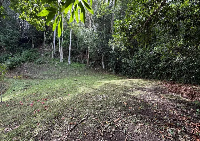 Photo 1 of Land for sale at Carr 643 Km 67 Bo Pugnado, Vega Baja, PR 00693 | MLS# PR9124262 | Listing updated on 2026-09-22