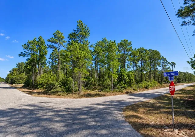 Photo 1 of Land for sale at 3001 E 21st Street, Alva, FL 33920 | MLS# S5157836 | Listing updated on 2026-09-18
