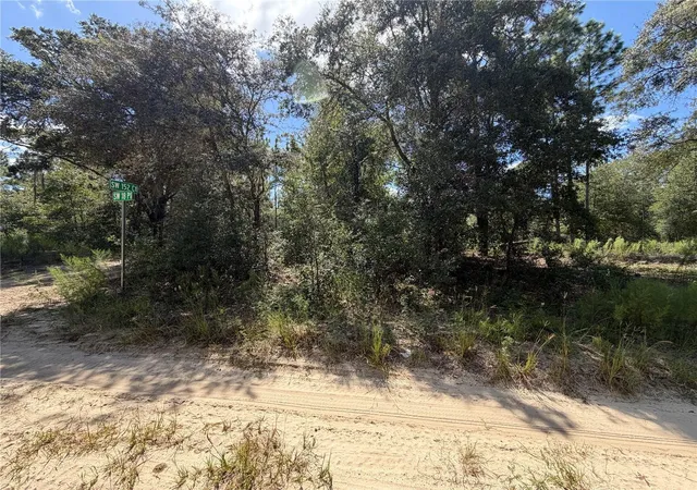 Photo 2 of Land for sale at 00 Cor Of SW 152nd Ct & 18th Pl, Ocala, FL 34481 | MLS# OM732469 | Listing updated on 2026-09-19