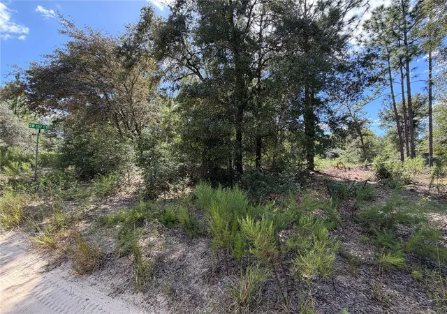 Photo 3 of Land for sale at 00 Cor Of SW 152nd Ct & 18th Pl, Ocala, FL 34481 | MLS# OM732469 | Listing updated on 2026-09-19
