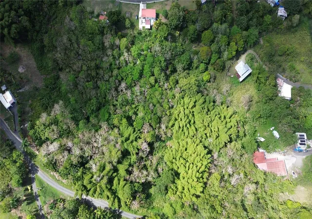 Photo 3 of Land for sale at 23 Campiñas, Juncos, PR 00777 | MLS# PR9124270 | Listing updated on 2026-09-18
