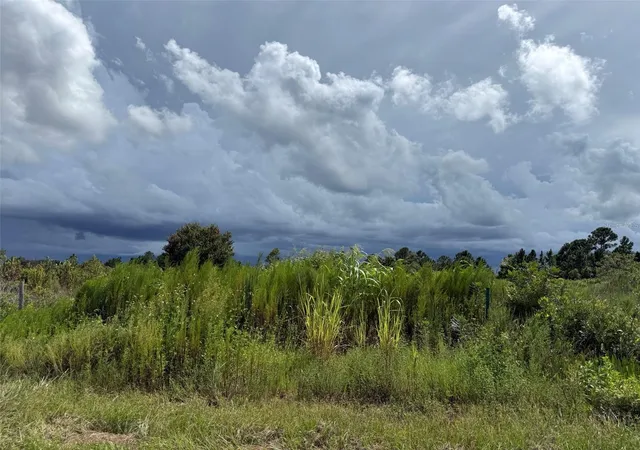 Photo 4 of Land for sale at 18076 NW 276th Street, Okeechobee, FL 34972 | MLS# K4903800 | Listing updated on 2026-09-19
